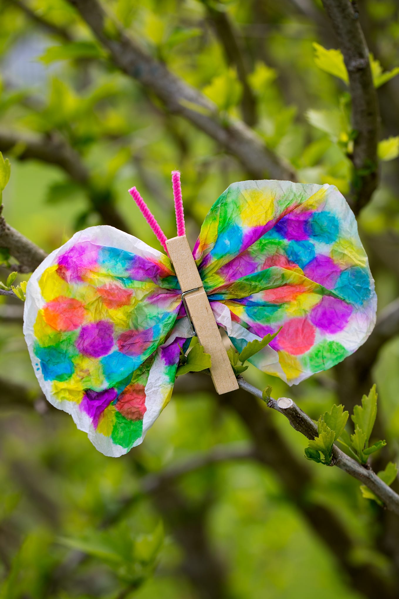 Coffee Filter Butterfly Craft