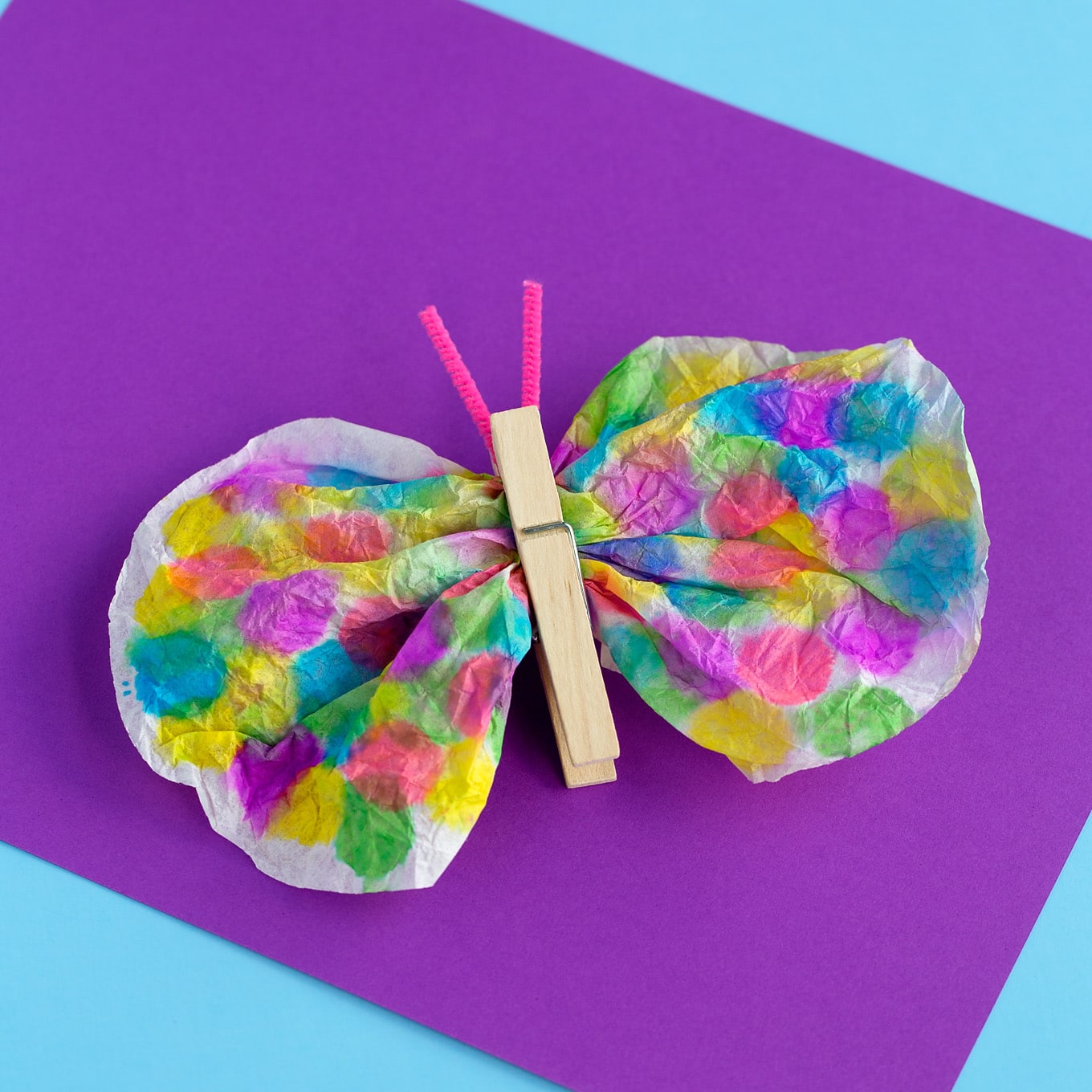 Coffee Filter Butterfly Craft