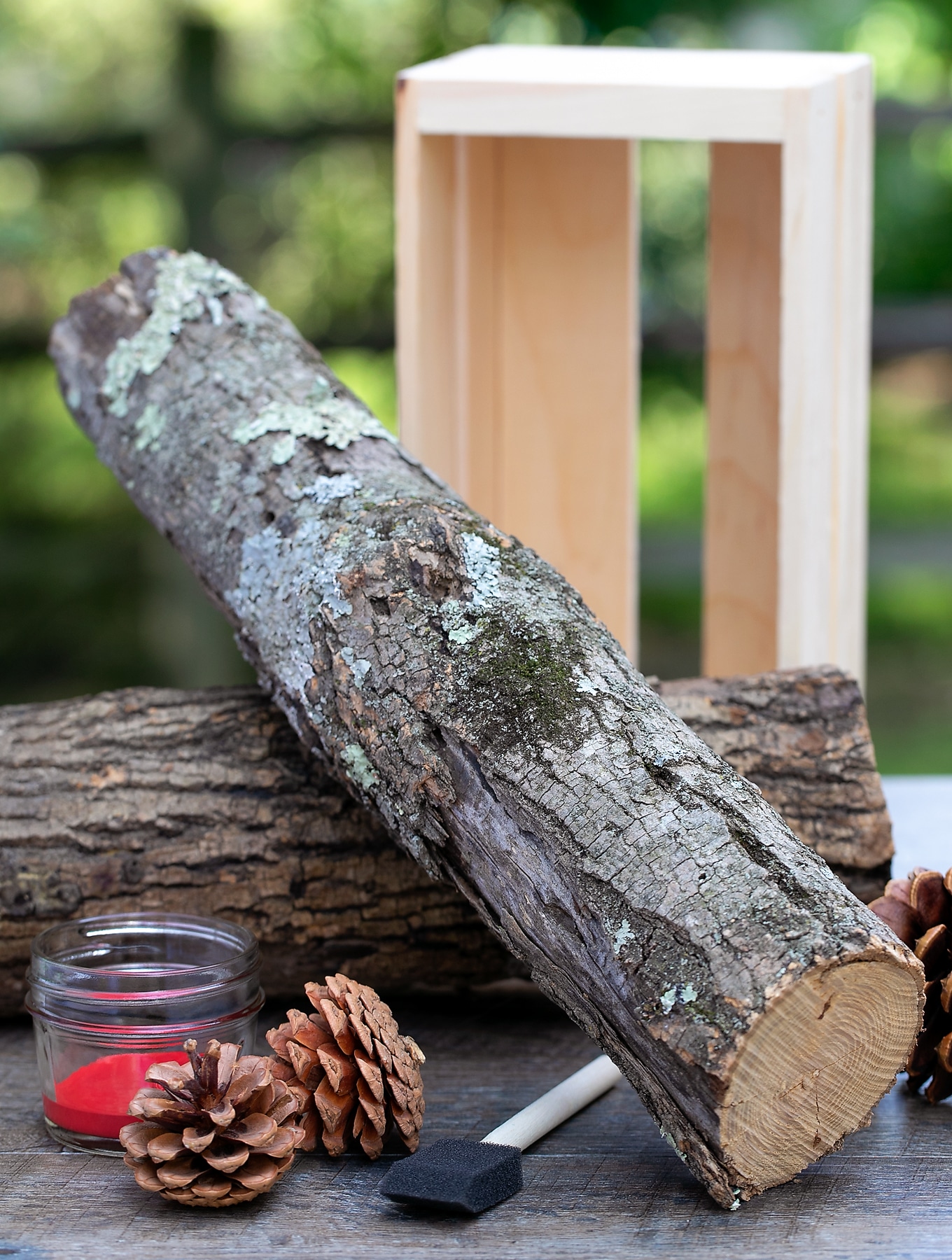 Supplies Needed for Easy DIY Bug House Supplies Needed for Easy DIY Bug House