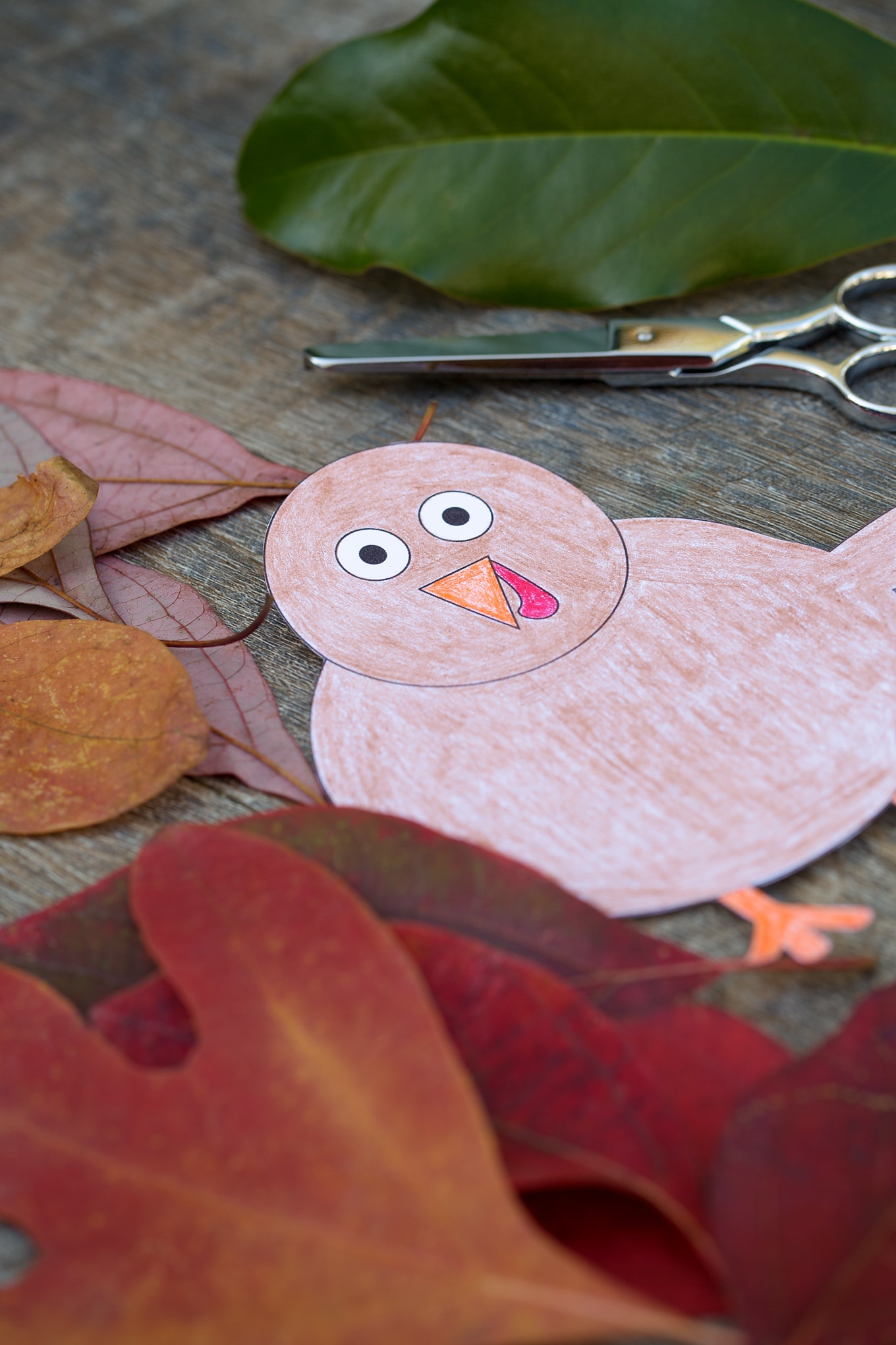 Thanksgiving Turkey Craft In-Process