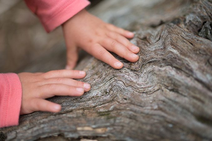 Tips for taking nature walks with kids