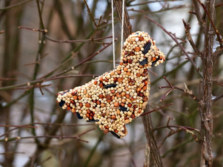 Birdseed Ornaments