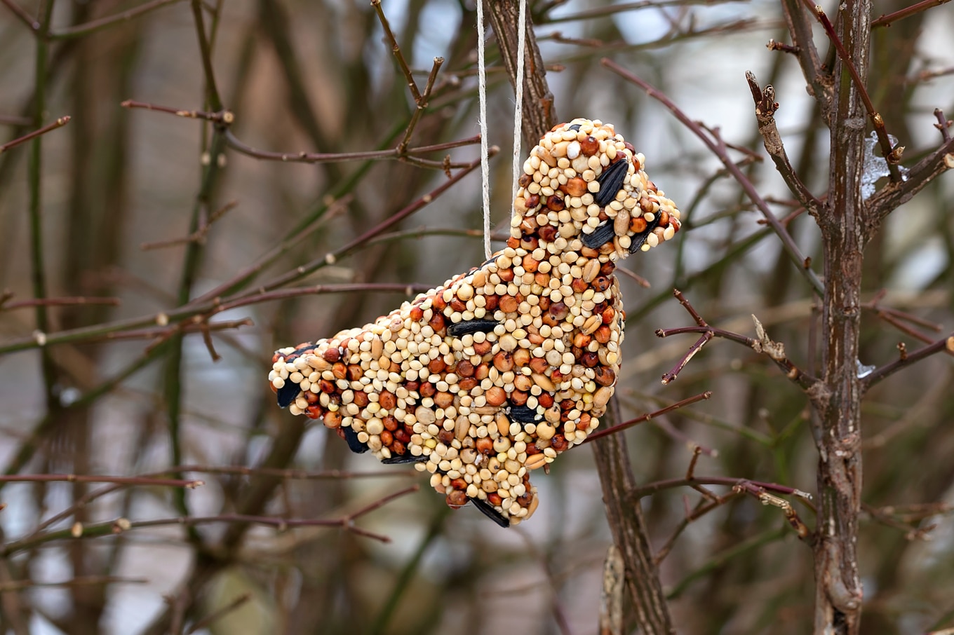 Birdseed Ornaments Fireflies And Mud Pies