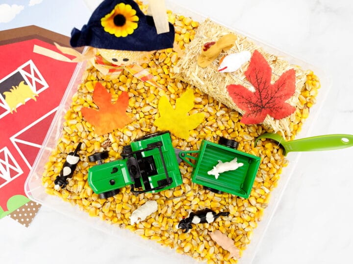Harvest Sensory Bin