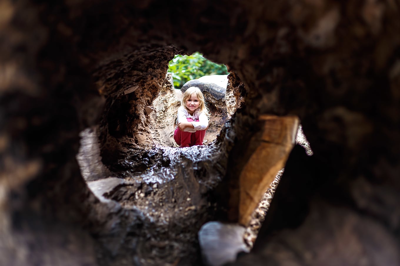 Child Exploring on a Nature Walk Child Exploring on a Nature Walk