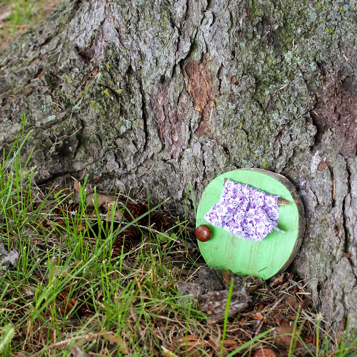 Fairy Door