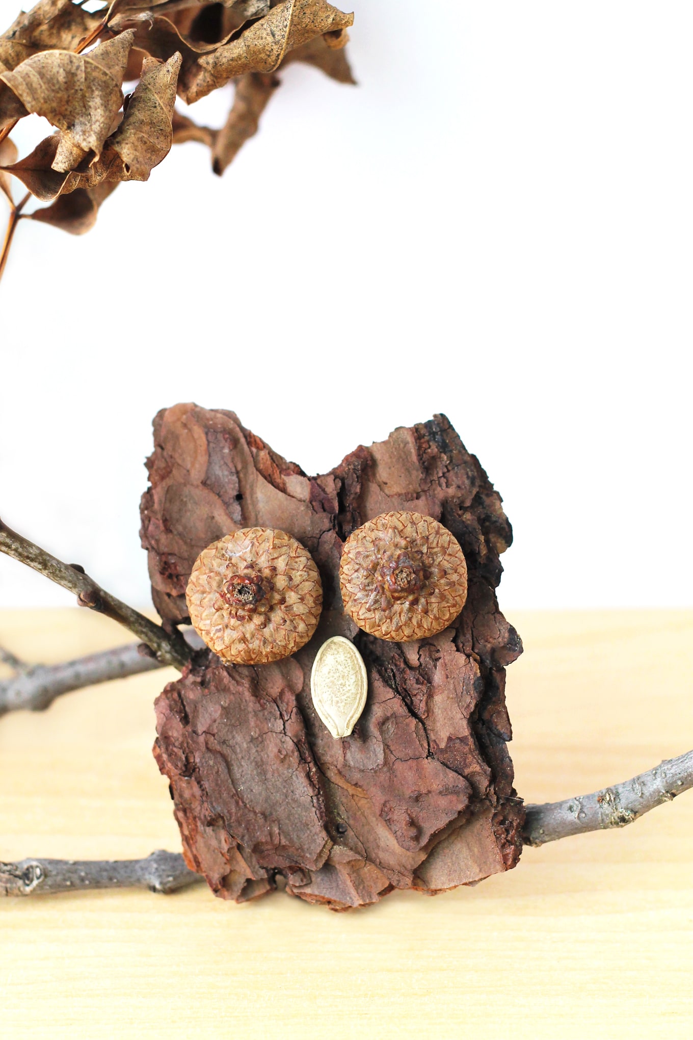 Bark Owls Kids of all ages will enjoy making Bark Owls from bark, acorns, twigs, and seeds after a fall nature walk.