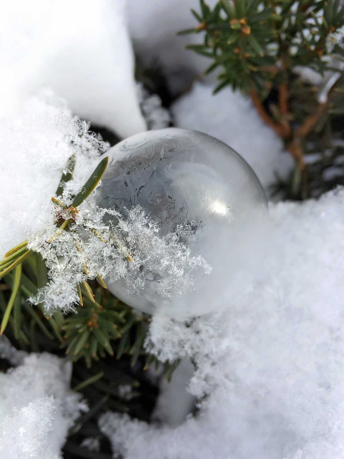 Single Frozen Bubble in Snow