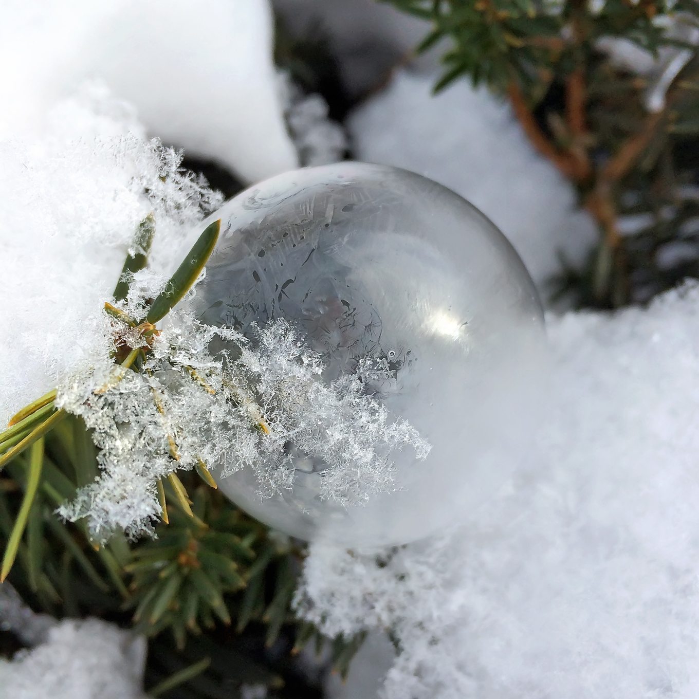 Frozen Bubble in Snow