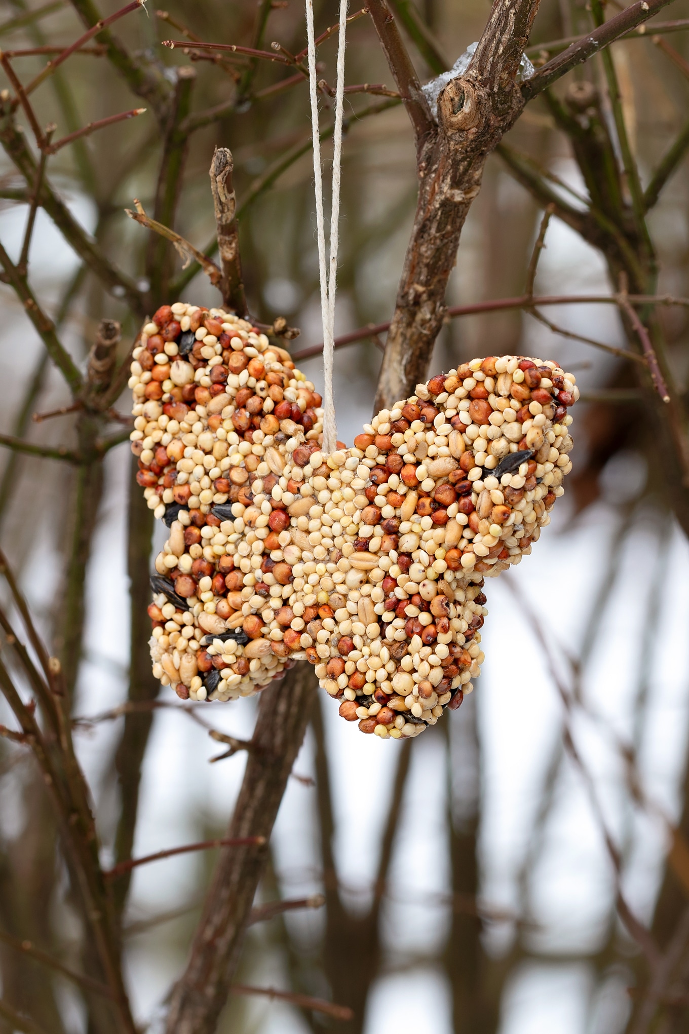 Butterfly Shaped Birdseed Ornament