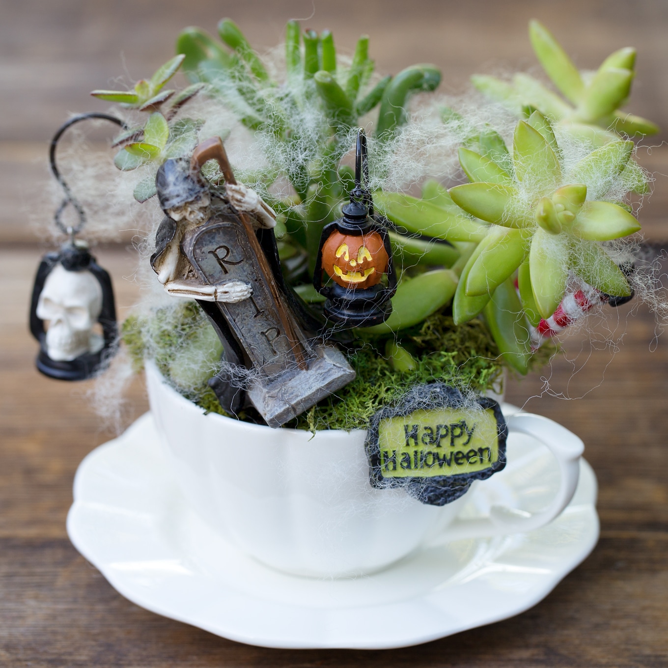 Halloween Teacup Fairy Garden