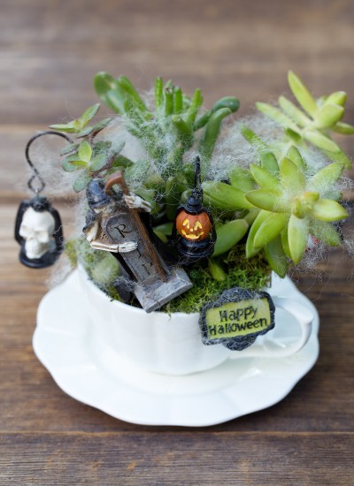 Halloween Teacup Garden