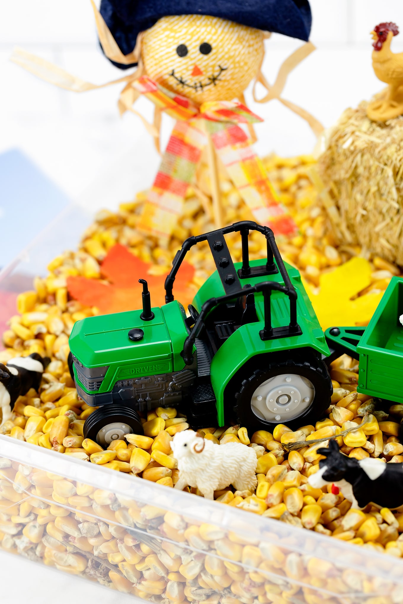 Harvest Sensory Bin for Kids Harvest Sensory Bin for Kids