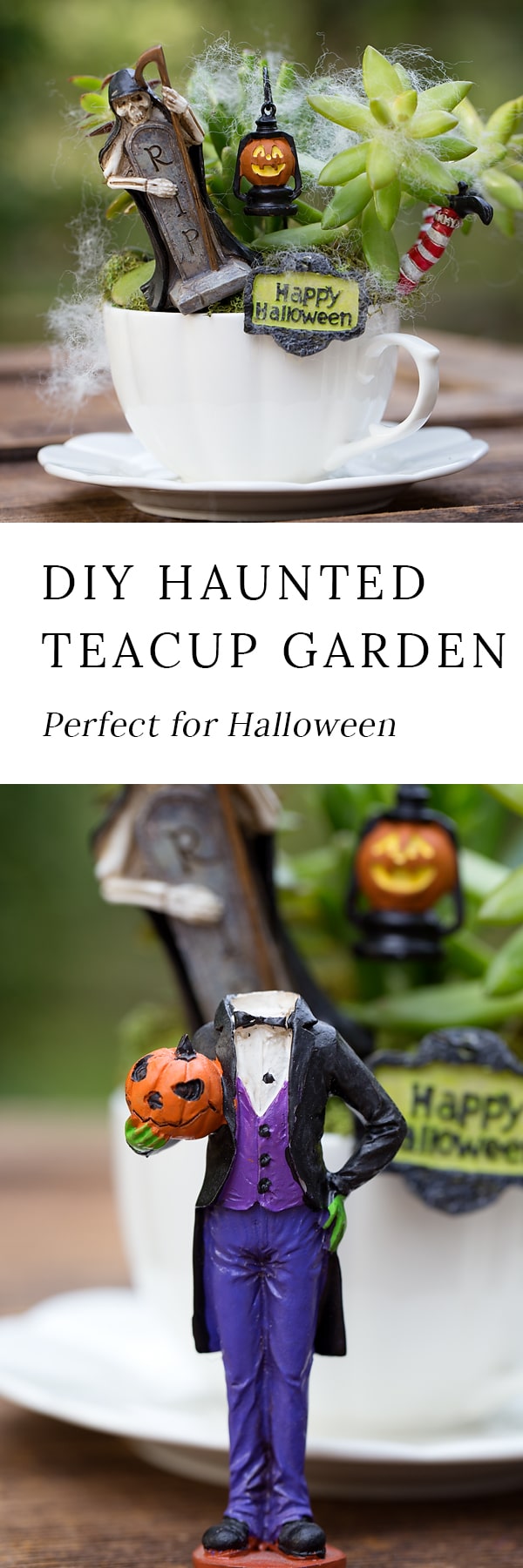 Just in time for Halloween, learn how to make a Haunted Halloween Teacup Garden with succulents, a teacup and saucer, and Halloween miniatures. It's the perfect Halloween craft for kids!