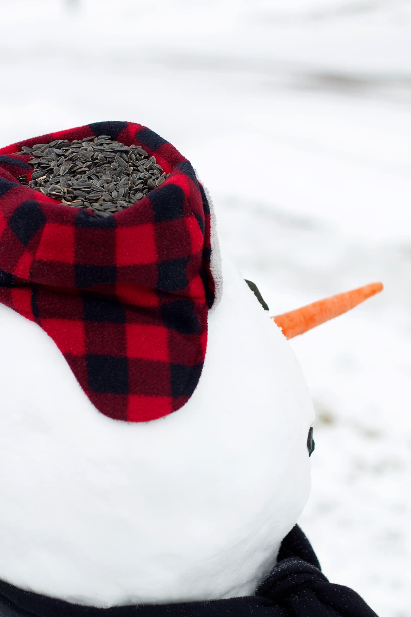 Kids of all ages will enjoy building an adorable snowman bird feeder with fresh snow, sunflower seeds, nuts, and fruit.  Winter Critter Snowman