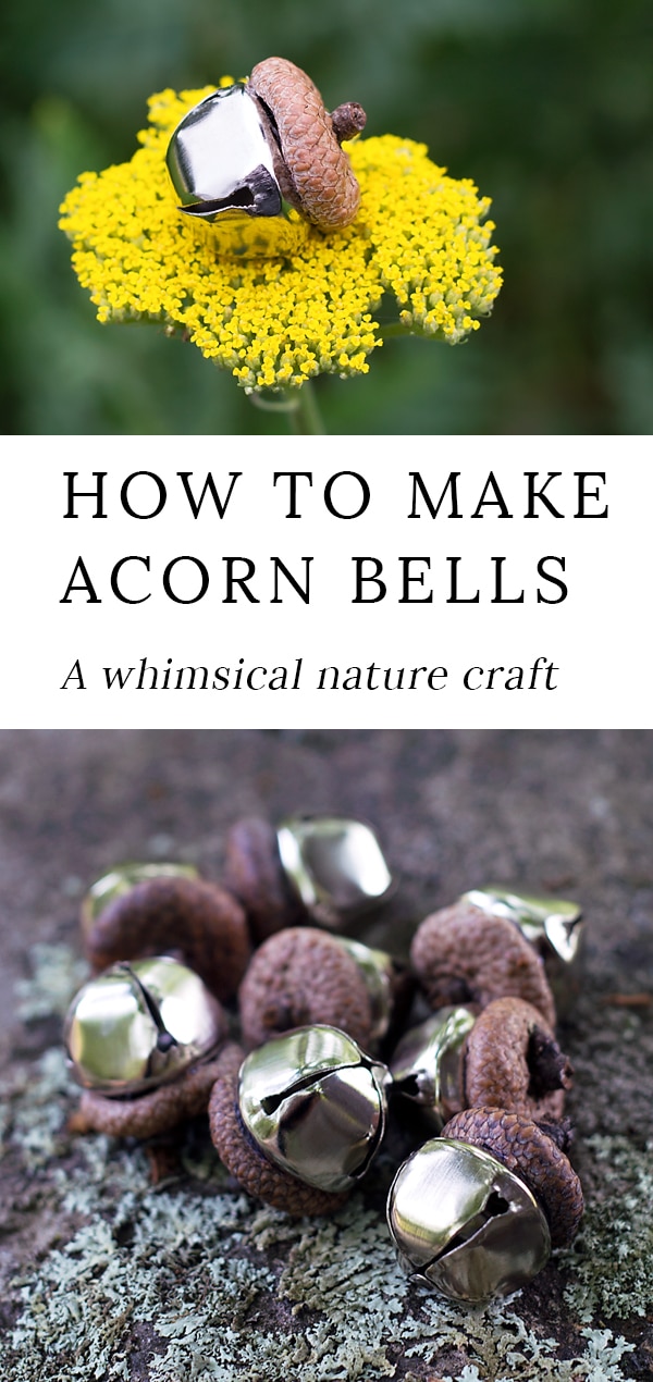 Acorn Bells, an easy nature craft for kids, are a sweet addition to gardens, fairy houses, or fall decor. #fairygarden #fairygardencrafts #acorns #naturecrafts #kidscrafts #fairyhouses