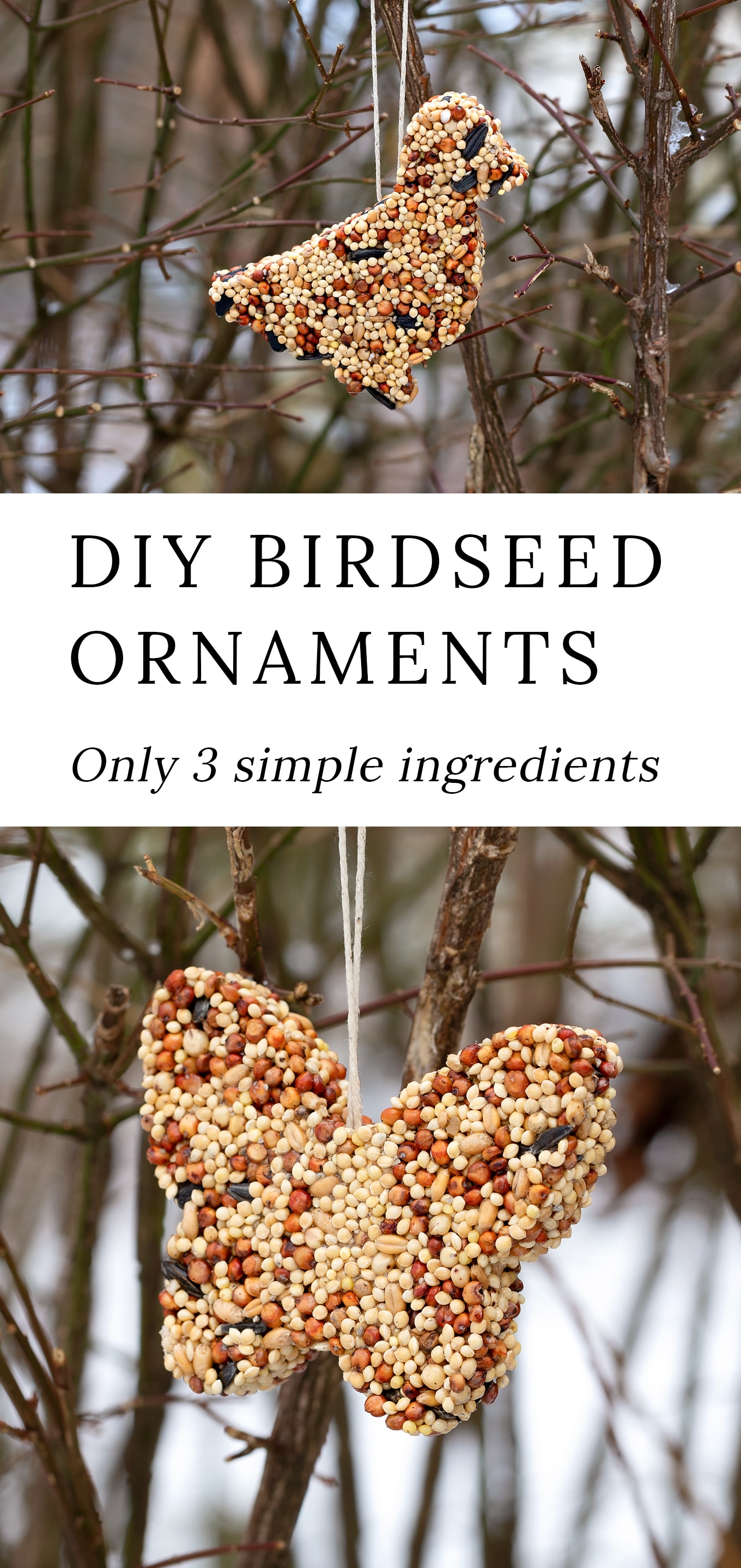 Pinterest Hidden Image