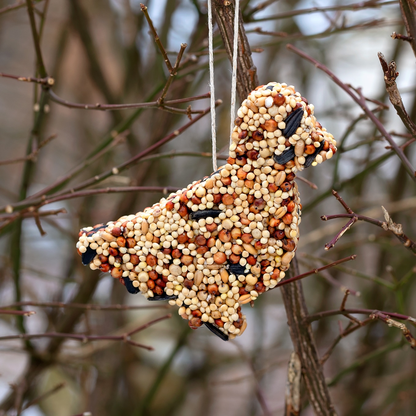 Birdseed Ornaments Fireflies And Mud Pies
