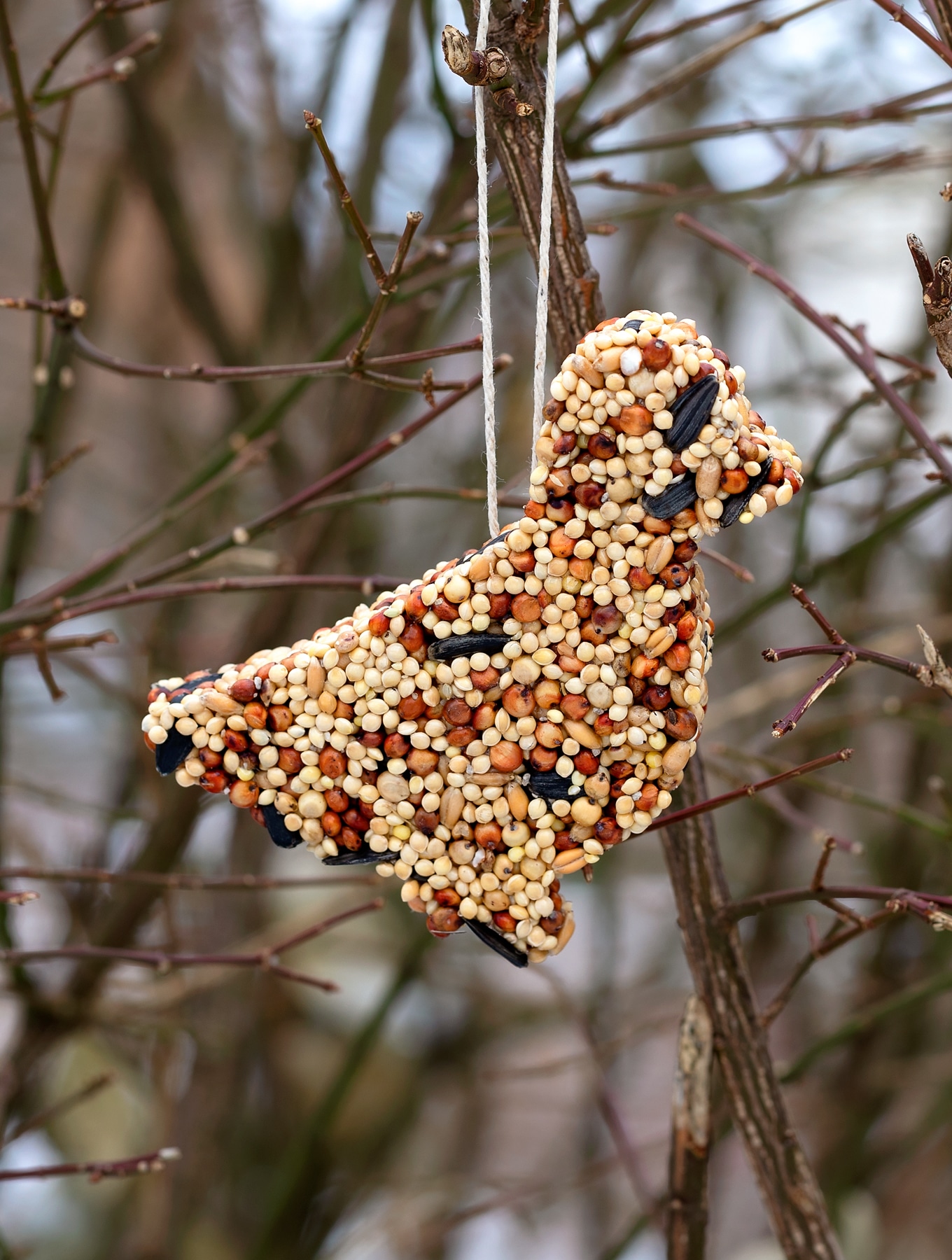 Birdseed Ornaments Fireflies And Mud Pies