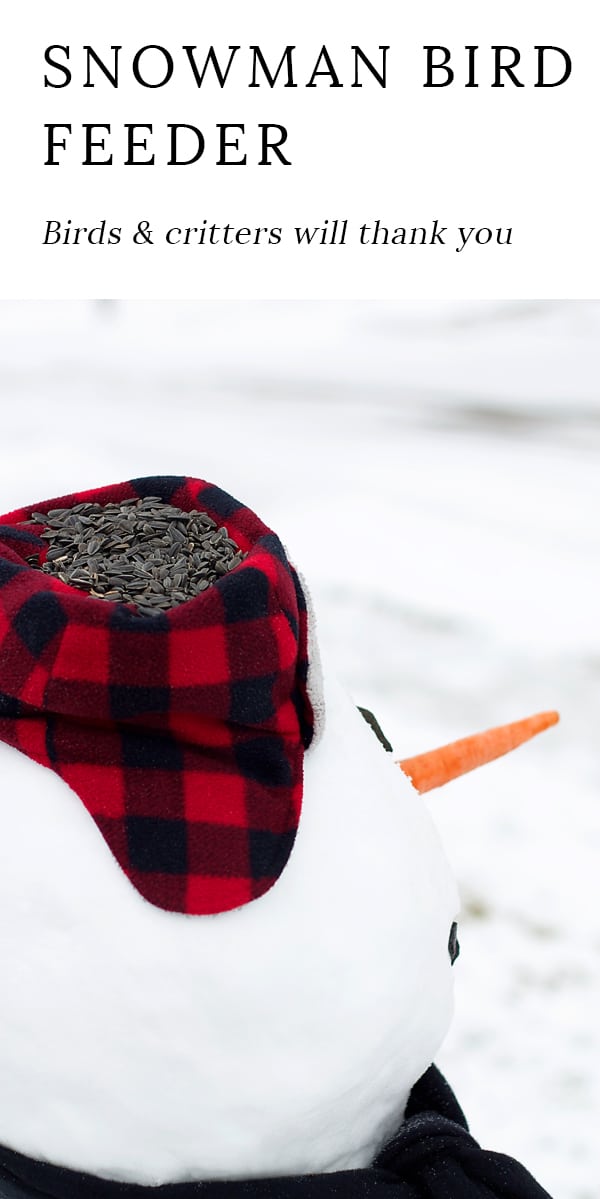 Kids of all ages will enjoy building an adorable snowman bird feeder with fresh snow, sunflower seeds, nuts, and fruit.