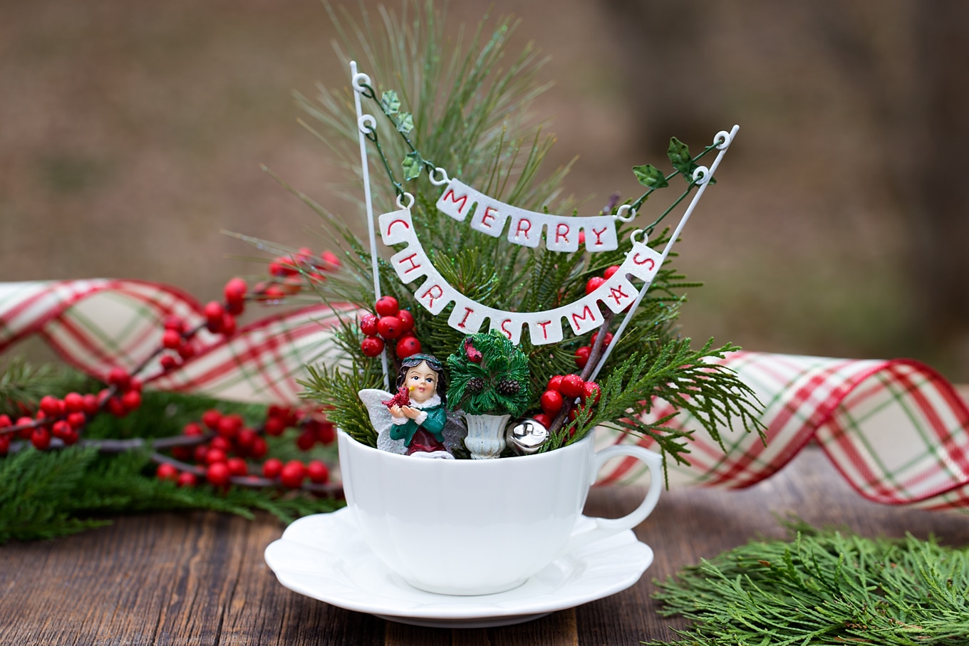 Just in time for Christmas, learn how to make a festive Christmas Teacup Garden with pine sprigs, winterberry, a teacup and saucer, and Christmas miniatures. #diychristmasgift #christmascrafts #teacupgarden #fairygardencrafts #christmasteacupgarden How to Make a Christmas Teacup Garden