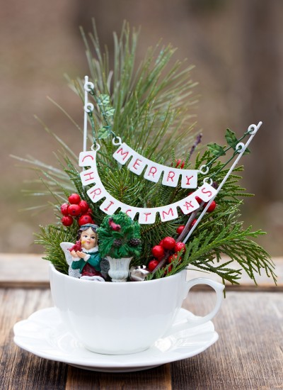 How to Make a Christmas Teacup Garden