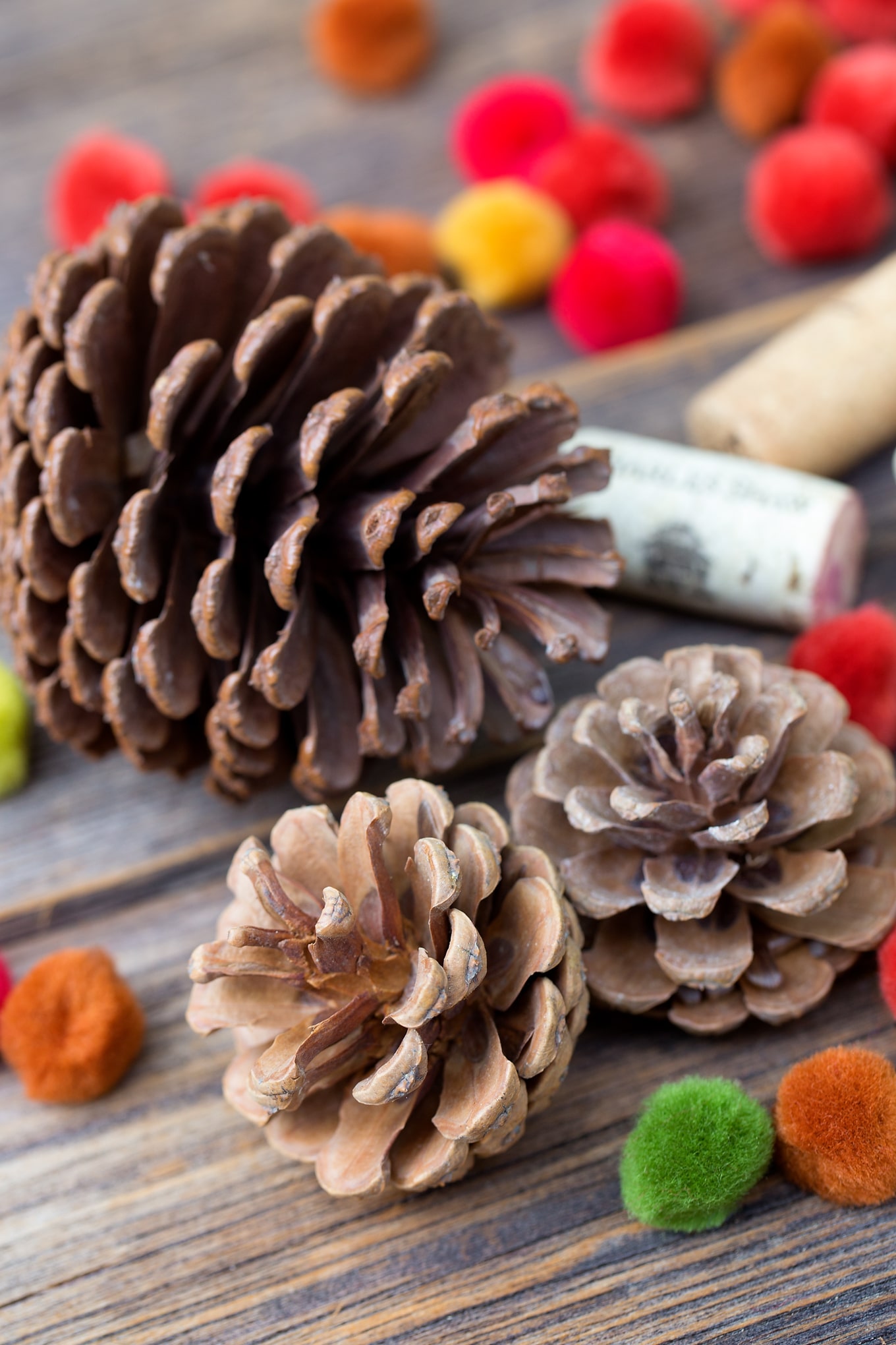 Learn how to make a colorful fall pine cone tree with pine cones, corks, and pom poms. This easy fall nature craft is perfect for kids of all ages!