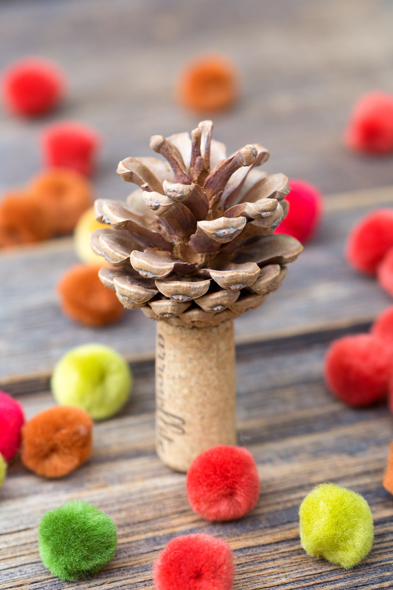 Learn how to make a colorful fall pine cone tree with pine cones, corks, and pom poms. This easy fall nature craft is perfect for kids of all ages!