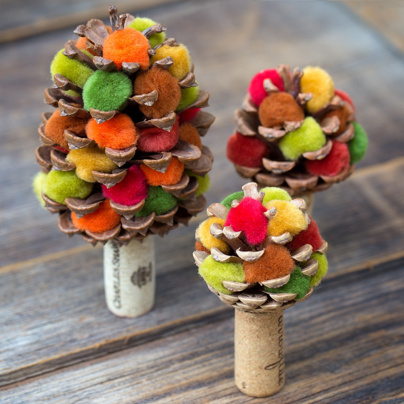 Learn how to make a colorful fall pine cone tree with pine cones, corks, and pom poms. This easy fall nature craft is perfect for kids of all ages!