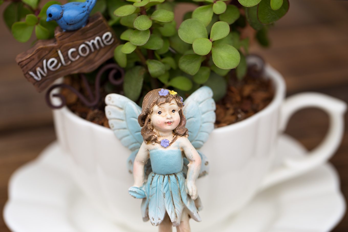 Bring the magic of fairies inside your home with a miniature teacup fairy garden. Perfect for Mother's Day, birthday parties, and sunny windows!