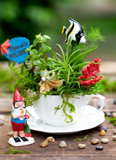 Under the Sea Teacup Garden