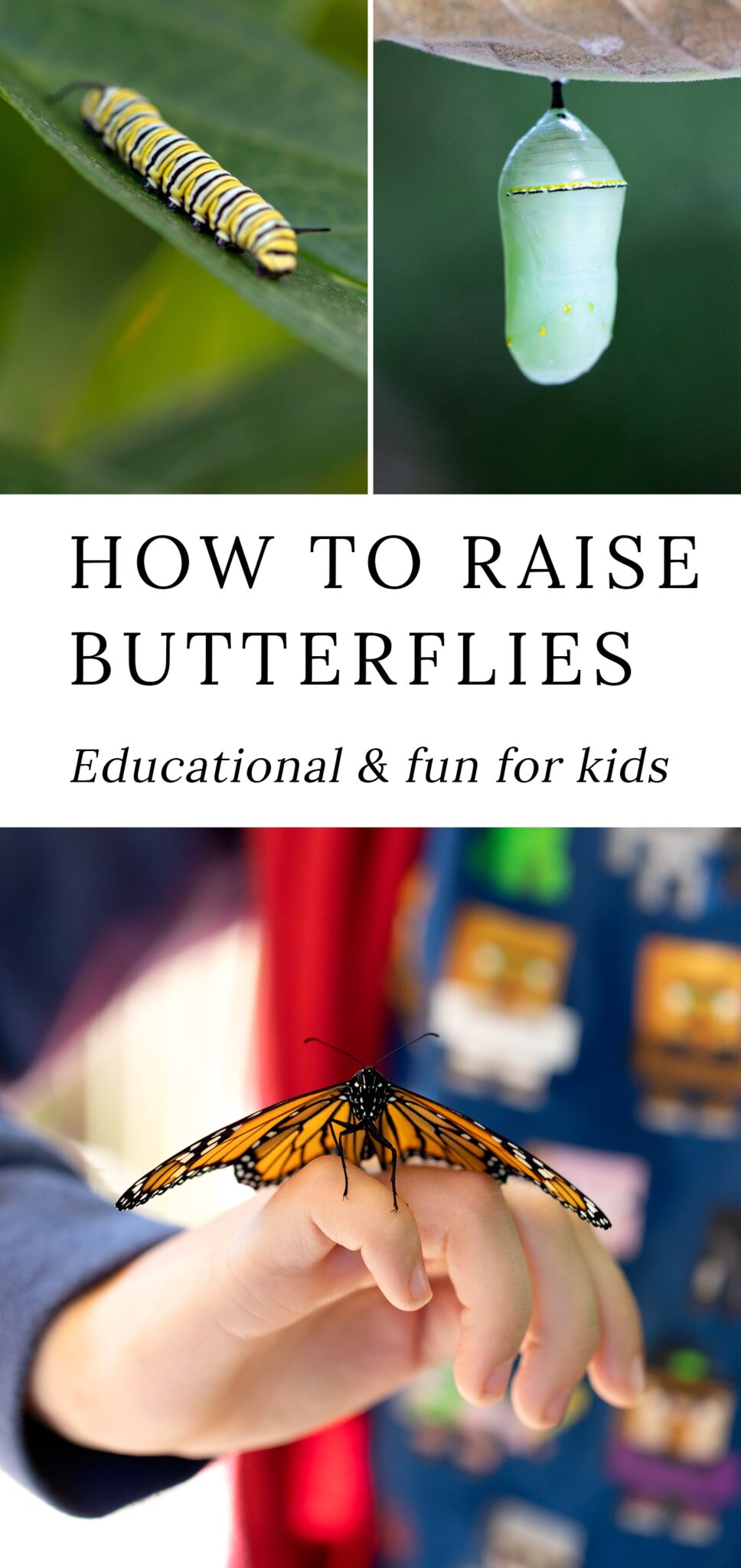 Pinterest Hidden Image