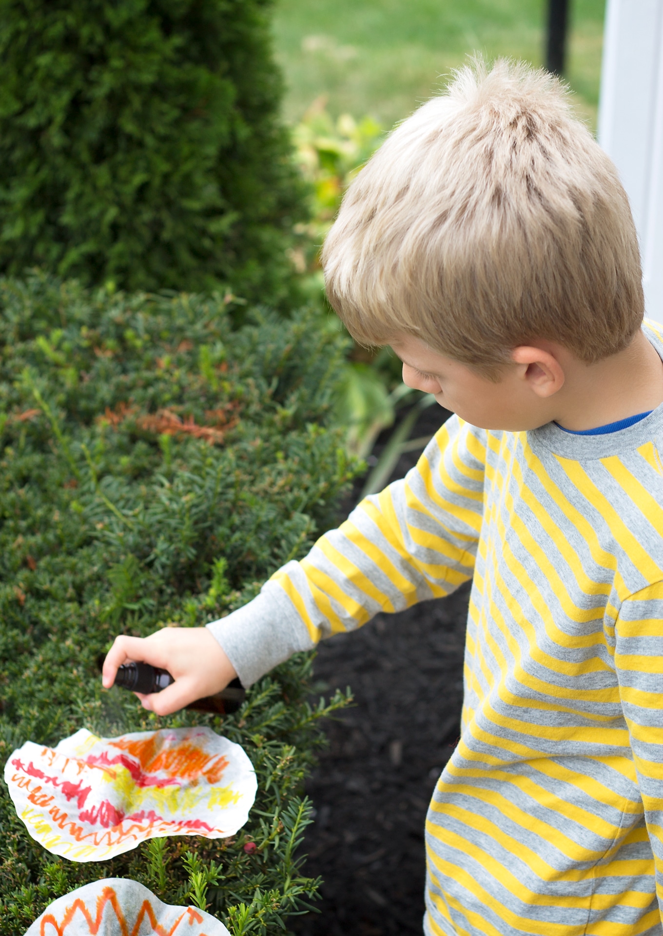 Jack O'Lantern Suncatchers Just in time for Halloween, learn how to make adorable and simple jack o'lantern suncatchers with markers, coffee filters, and water.