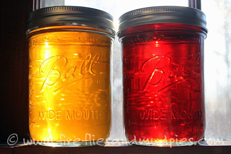 Pure NH Maple Syrup | Fireflies and Mud Pies