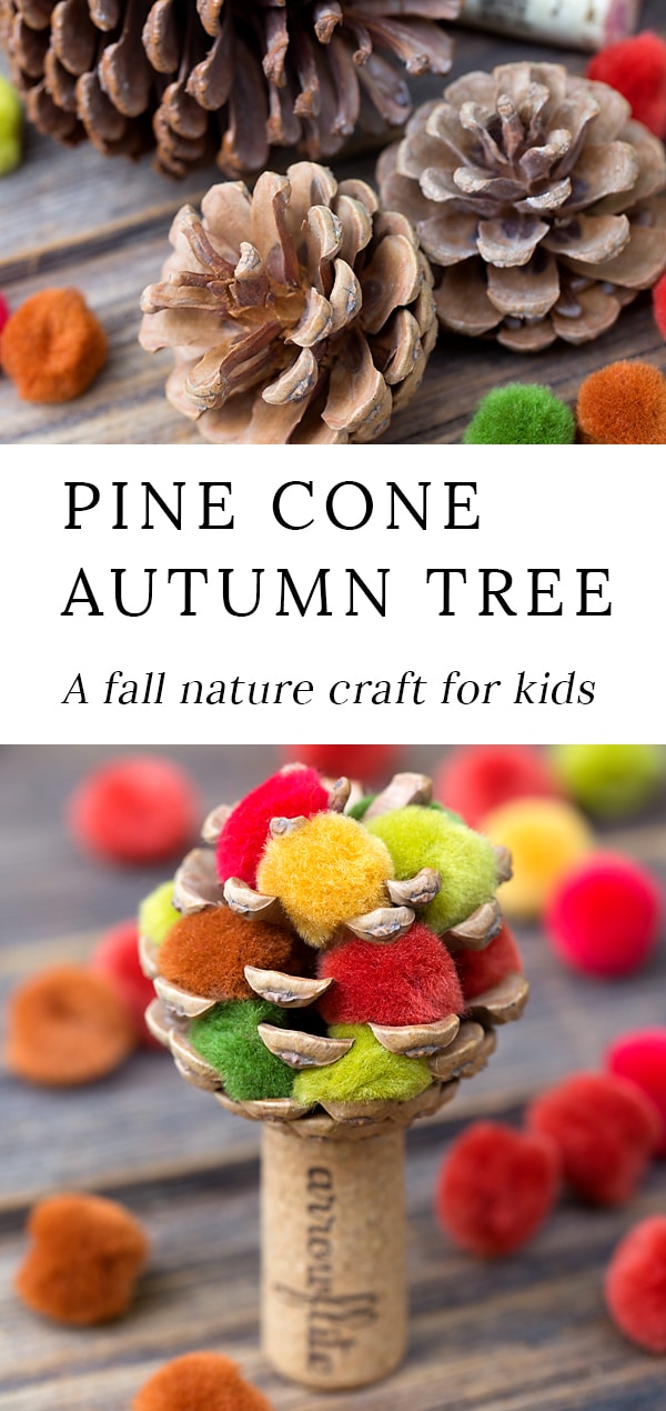 Learn how to make a colorful fall pine cone tree with pine cones, wine corks, and pom poms. This easy fall nature craft is perfect for kids of all ages! #fallpineconetree #fallnaturecraft #pineconecrafts #naturecraftsforkids #easycrafts #preschoolcrafts