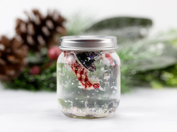 Melted Snowman in a Jar