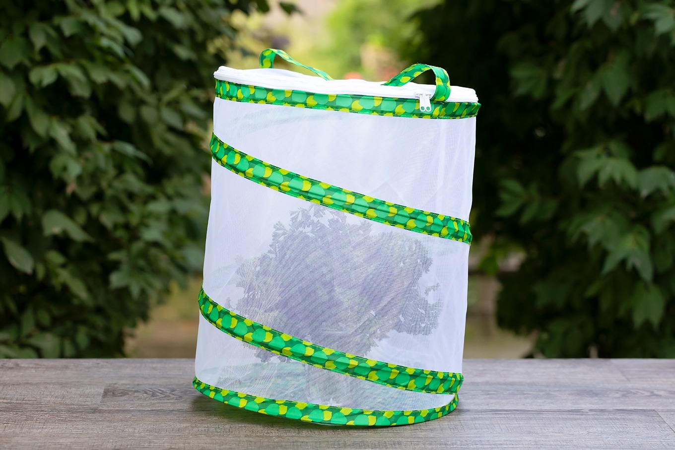 Mesh Pop-Up Butterfly Habitat Mesh Pop-Up Butterfly Habitat
