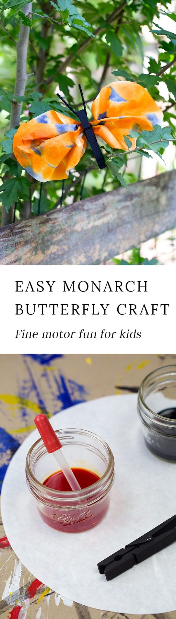 Kids of all ages will enjoy making a clothespin and watercolor monarch butterfly to celebrate the monarch's late summer migration to Central Mexico.