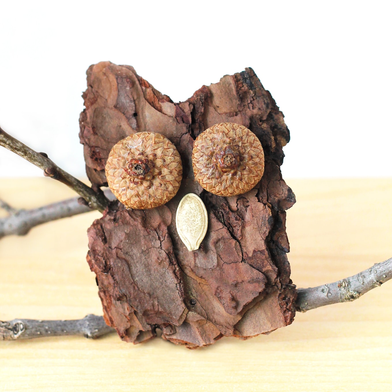 Kids of all ages will enjoy making Bark Owls from bark, acorns, twigs, and seeds after a fall nature walk. 