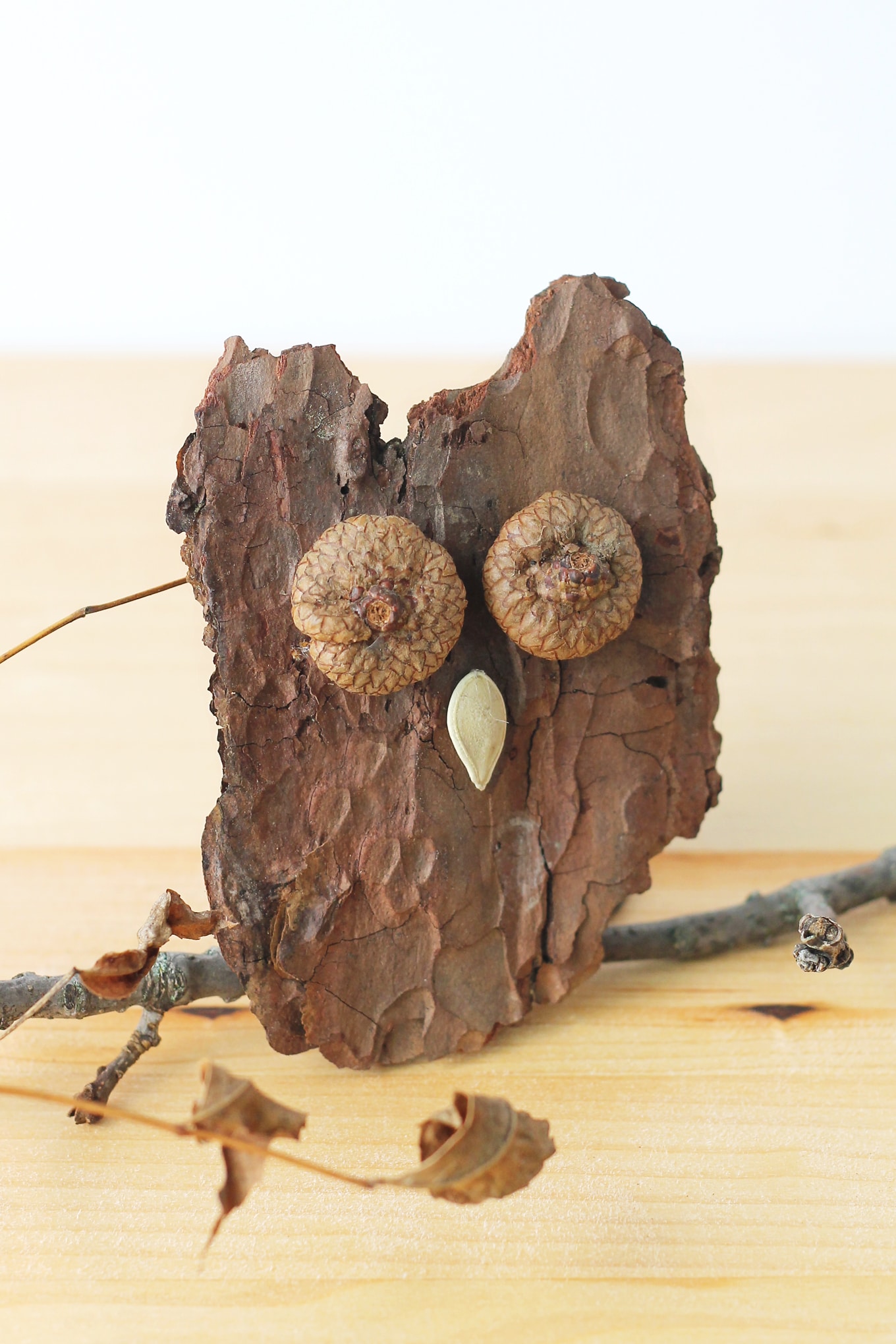 Bark Owls Kids of all ages will enjoy making Bark Owls from bark, acorns, twigs, and seeds after a fall nature walk.