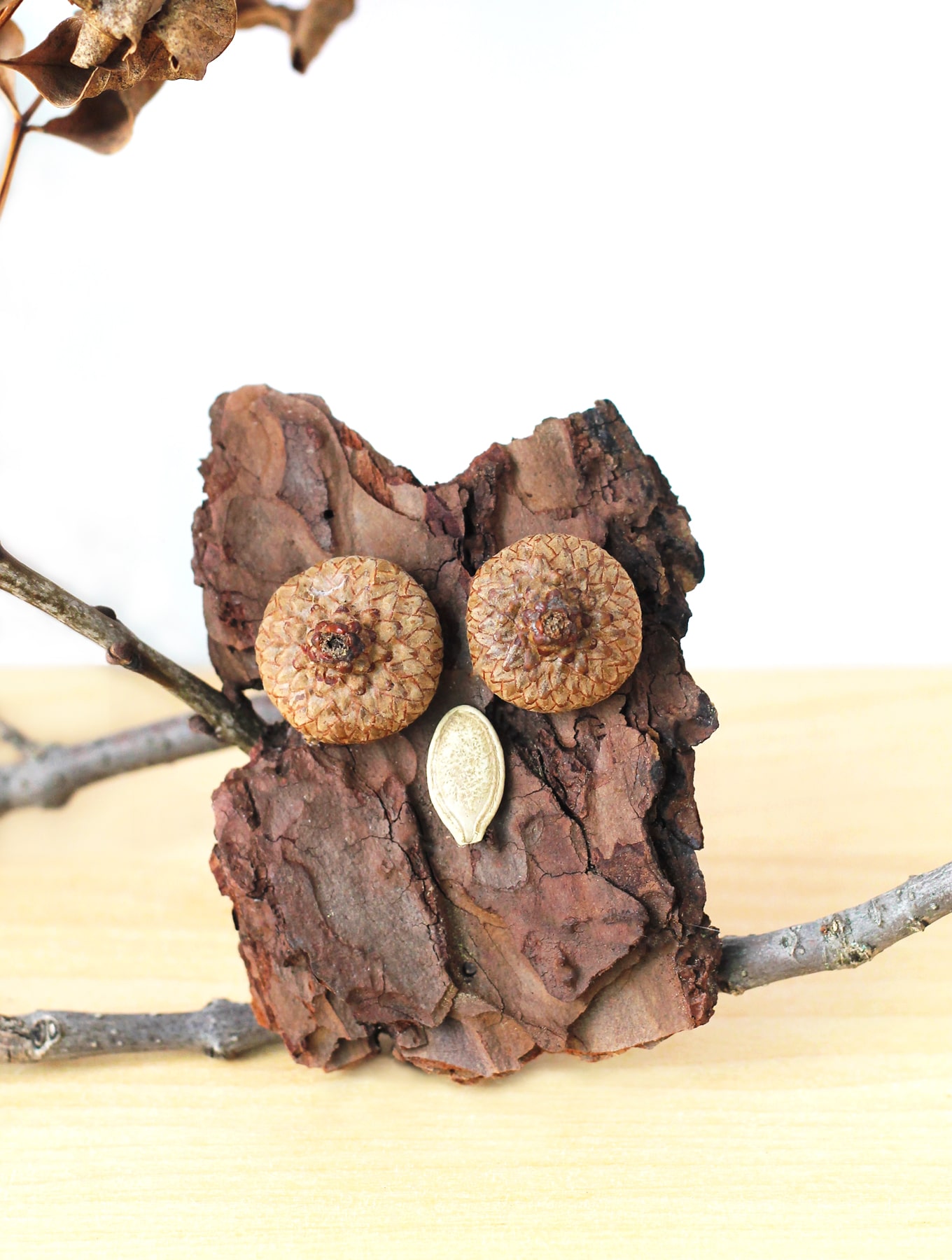 How to Make Bark Owls