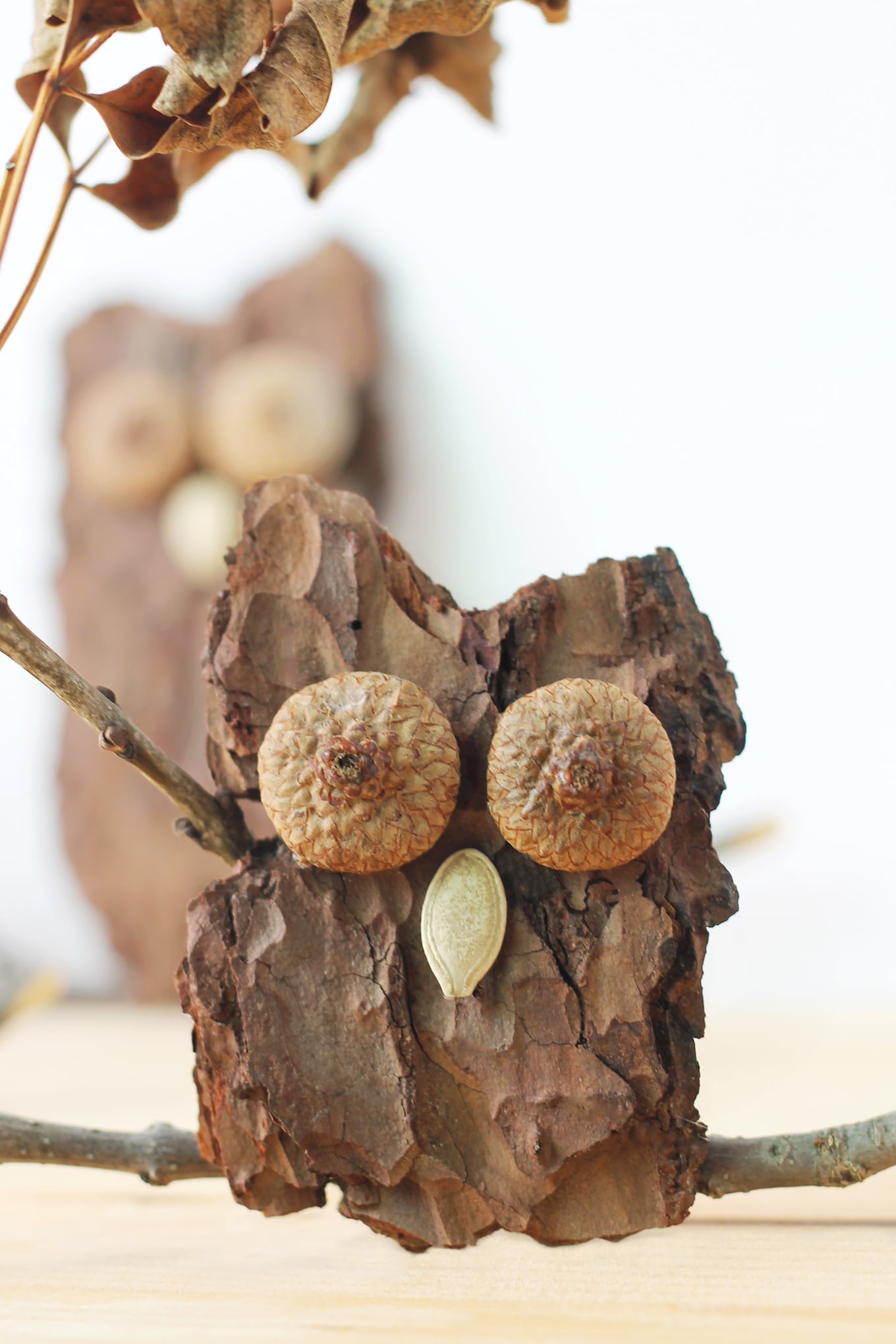 Bark Owls Kids of all ages will enjoy making Bark Owls from bark, acorns, twigs, and seeds after a fall nature walk.