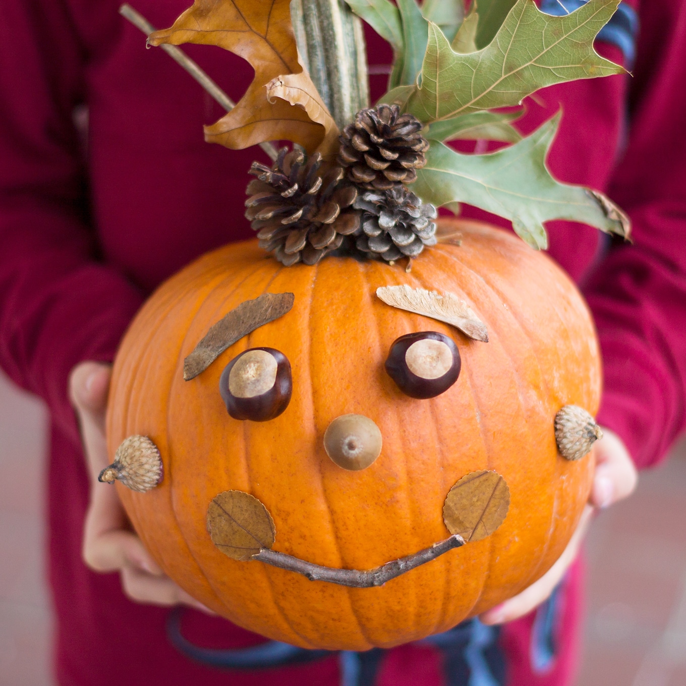Kids will love creating a whimsical No-Carve Nature Pumpkin with pinecones, nuts, seeds, leaves, and twigs. Perfect autumn fun for families!