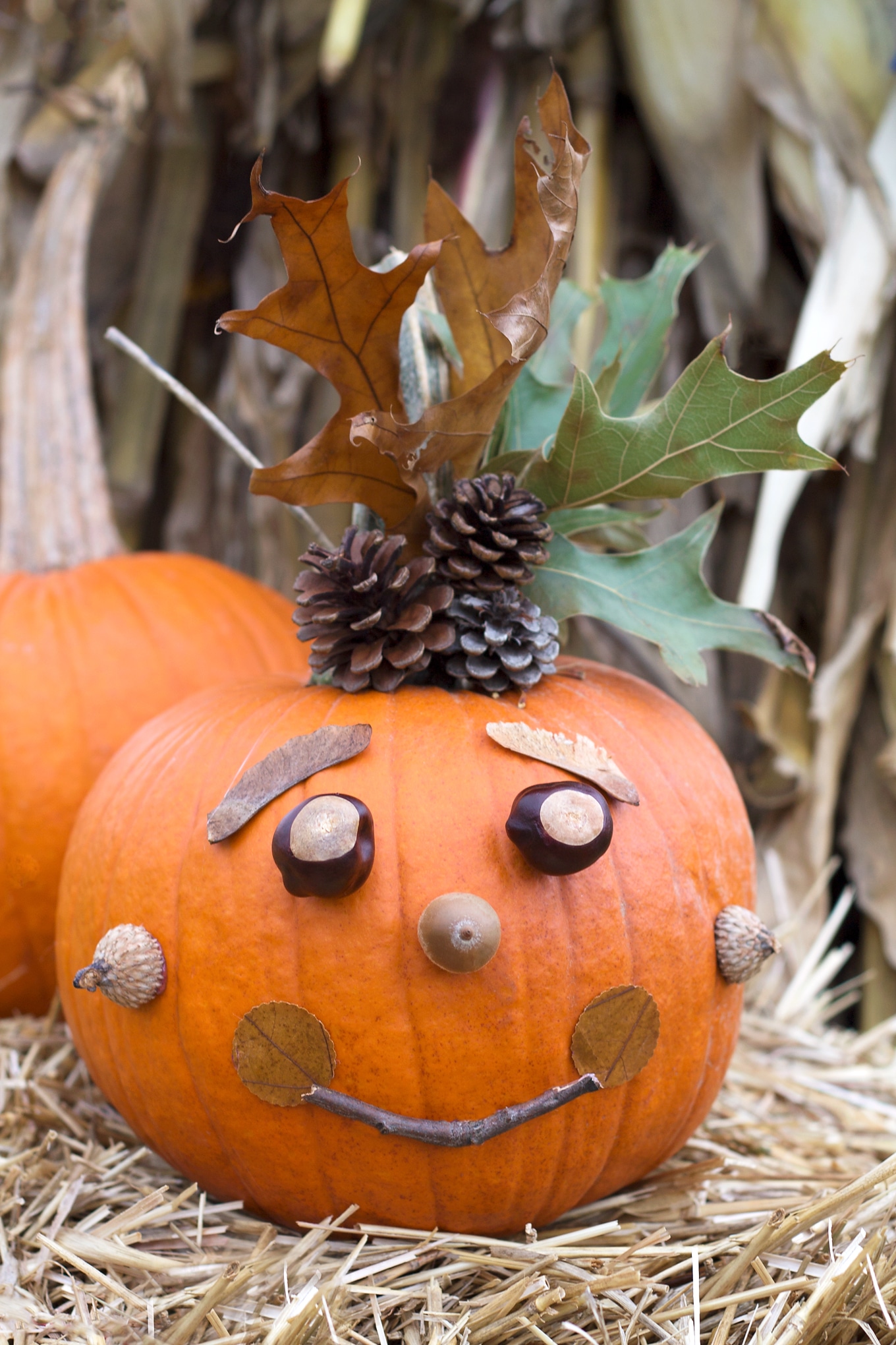 Kids will love creating a whimsical No-Carve Nature Pumpkin with pinecones, nuts, seeds, leaves, and twigs. Perfect autumn fun for families!