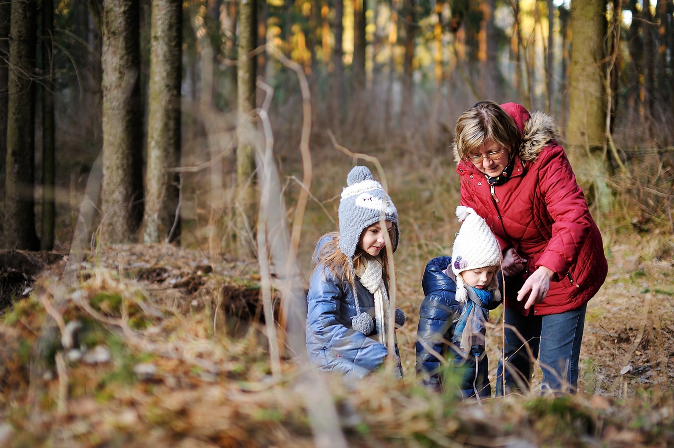 Grandmother Taking Kids on Nature Walk Grandmother Taking Kids on Nature Walk