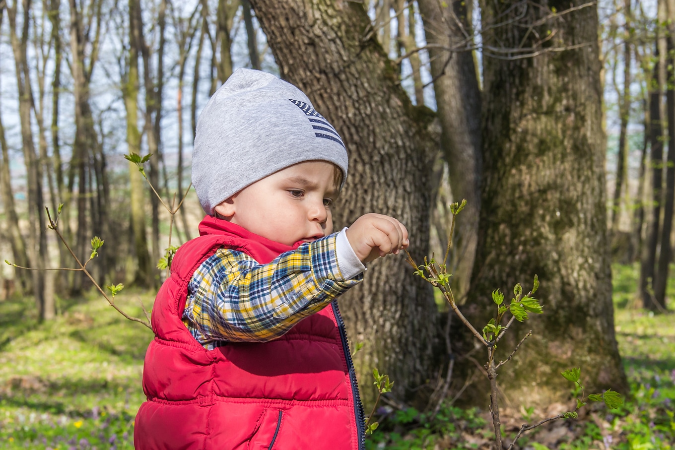 Child Examining a Leaf on a Nature Walk Child Examining a Leaf on a Nature Walk
