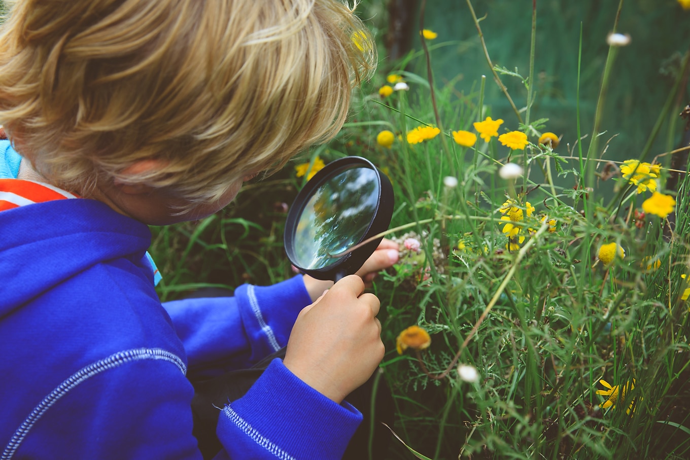Boy with Magnifying Glass Boy with Magnifying Glass