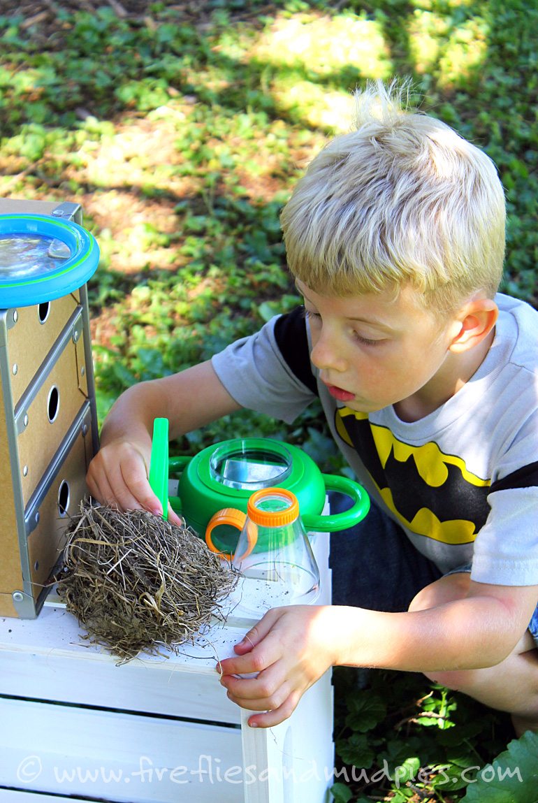 Why to Start and How to Organize a Kid's Nature Collection | Fireflies and Mud Pies