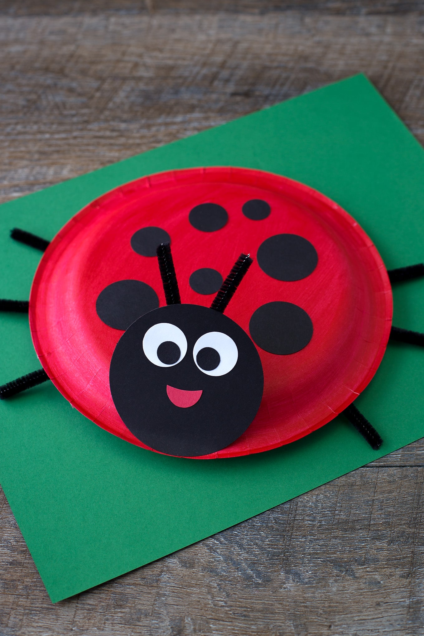 How to Make a Paper Plate Ladybug