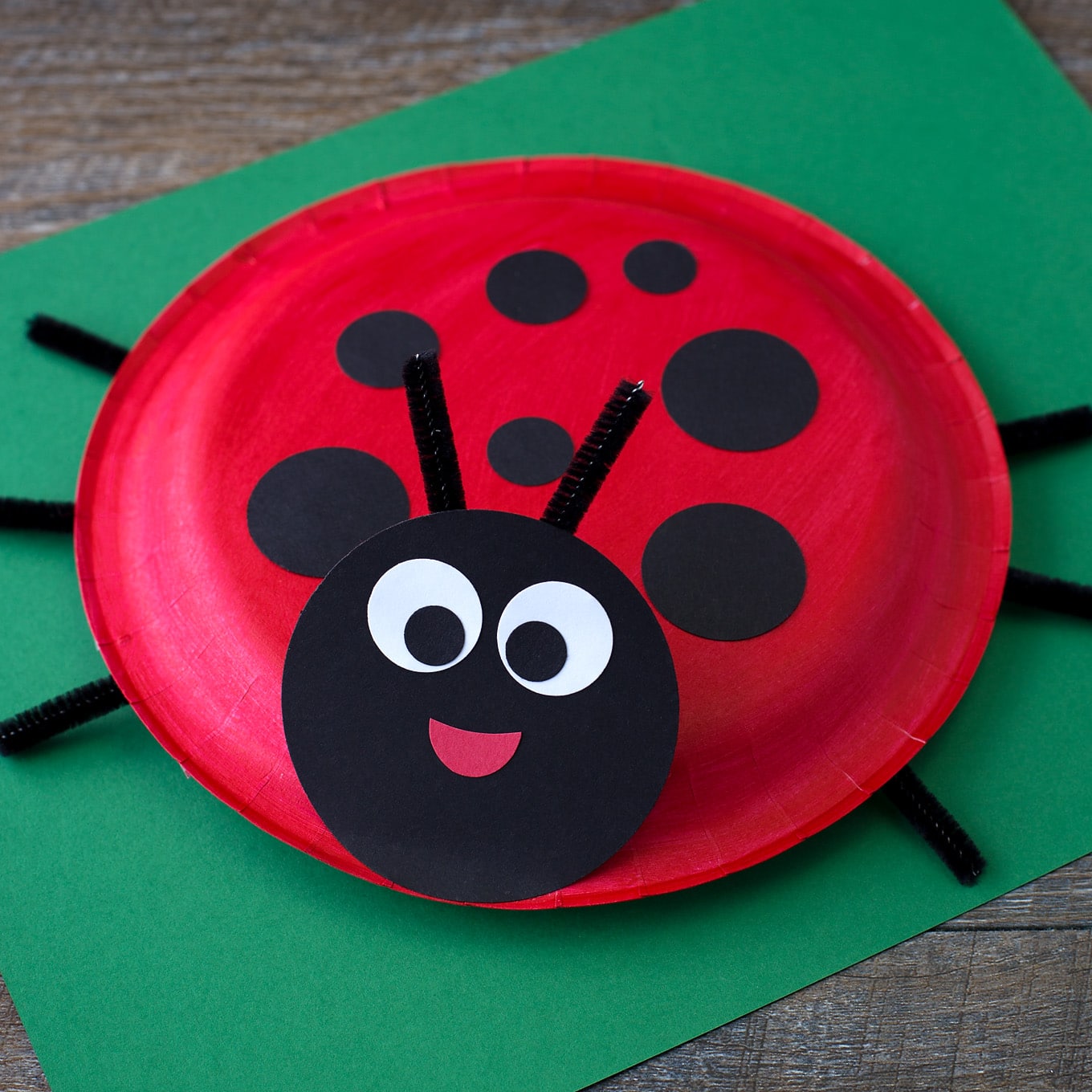 Learn how to make a simple Paper Plate Ladybug with kids. It's perfect for summer, insect lovers, and for strengthing fine-motor skills.